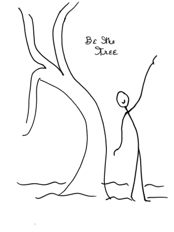 Look around. If there is more than one tree to choose from, allow yourself to imagine your child self. Which tree would your child-self go to? Soften your gaze. Perhaps one particular tree has a soft glow around it, or is intuitively beckoning you in some way. I think it is important that you let the tree know that you will not hurt it. Some people naturally carry this energy message, and even animals do not fear them. Trees have often been harmed by humans, so the safety message seems basic and foundational. Thoughts such as “I come in peace” or “Hello beautiful tree! I will not cause you harm.” seem a good starting place. Once I have come to the tree who will be my partner in practice, I stand before the tree with my feet solidly grounded on Earth. Then, I embody the shape of the tree as best I can. This is a beginning warm up stretch for my own body and an acknowledgement of the form of the tree.