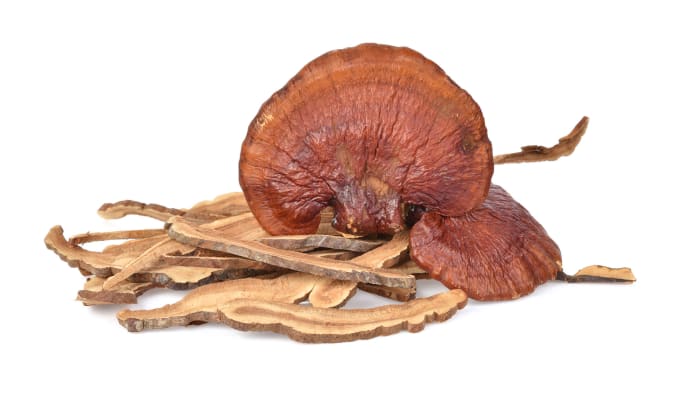 Reishi Mushroom