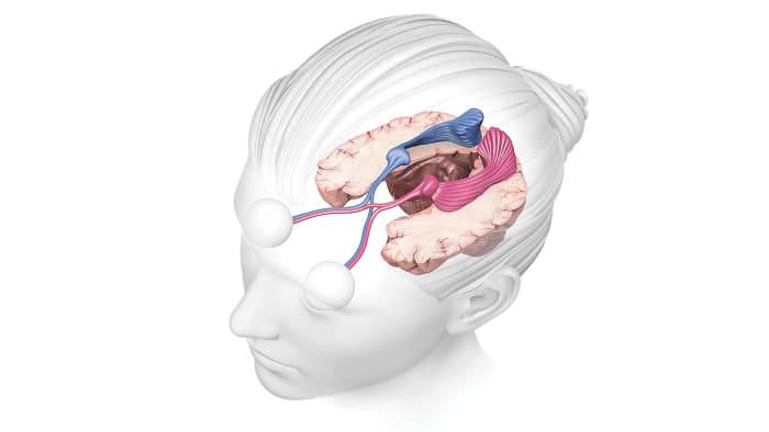 Anatomy_315_MA_01277011_bjk_resized