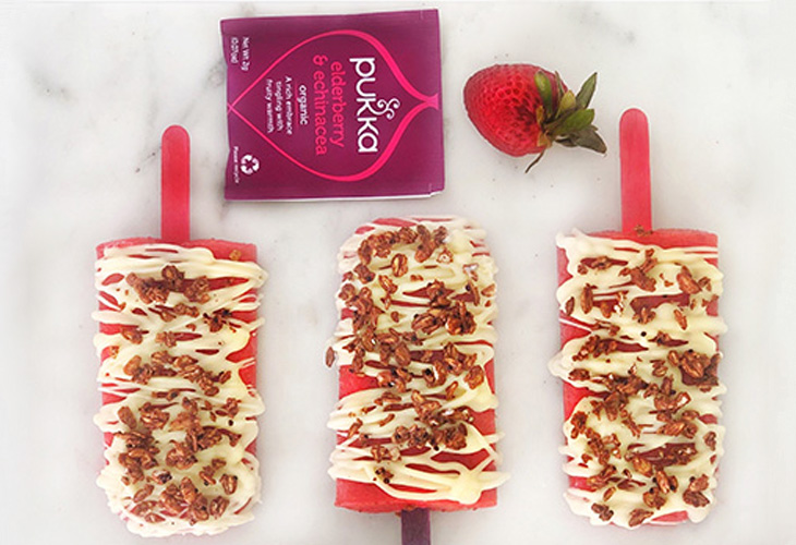 echinacea elderberry popsicle