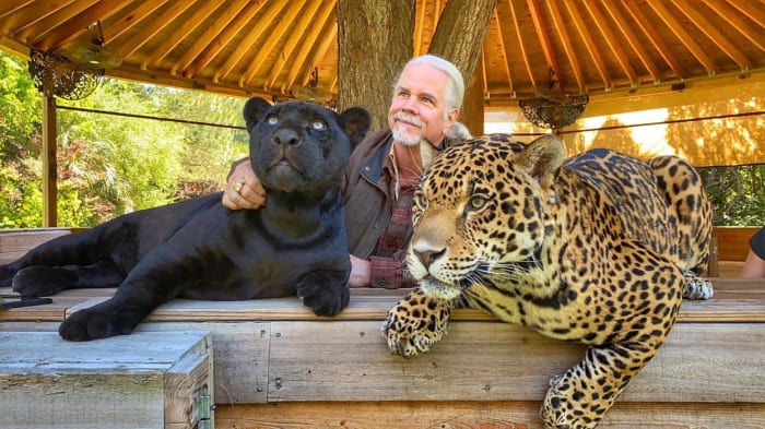 Doc Antle posing with his Jaguars Onca and Inca